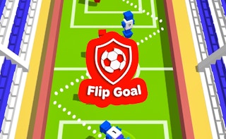 Flip Goal